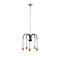 Hello Honey® Robert Stevenson Lighting Harper 19" Black and Brass 5-Light Exposed Bulb 2-Tone Metal Chandelier